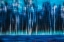 Picture of MYSTIC FOREST