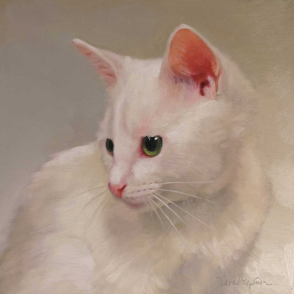 Picture of WHITE KITTEN