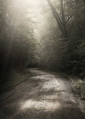 Picture of BACK COUNTRY ROAD