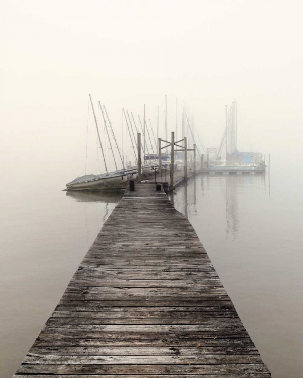 Picture of HARBOR FOG