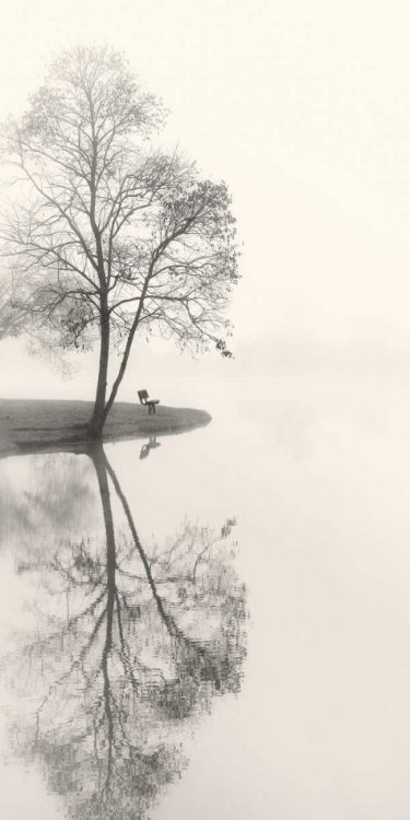 Picture of TRANQUIL MORNING