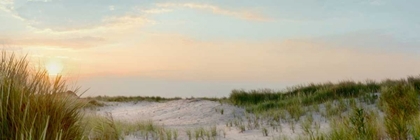 Picture of ISLAND SAND DUNES SUNRISE NO. 1