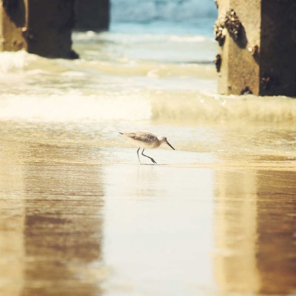 Picture of WALKING ON THE BEACH