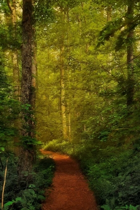 Picture of FAIRYTALE PATH