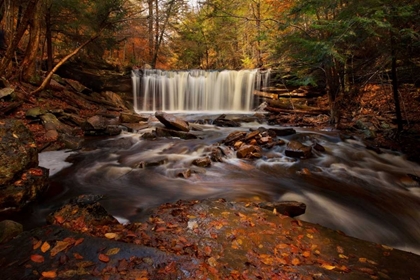 Picture of RUSHING WATER