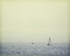 Picture of PERPETUAL