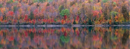 Picture of UPSON LAKE REFLECTION