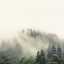 Picture of SMOKY MOUNTAINS