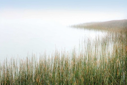 Picture of CRESCENT BEACH CALM 3