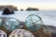 Picture of CRESCENT BEACH SHELLS 16