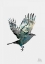 Picture of BIRD