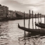 Picture of CAMPO DI SALUTE VENEZIA