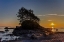 Picture of BOTANY BAY SUNSET