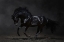 Picture of ONYX