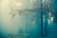 Picture of WOODS