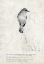 Picture of BIRD IS SWEET