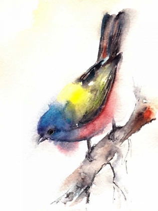Picture of BUNTING BIRD