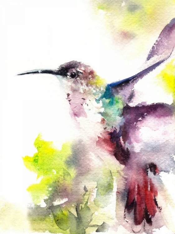 Picture of HUMMINGBIRD