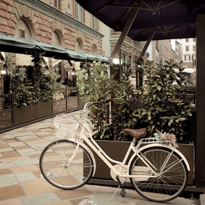 Picture of FIRENZE BICYCLE