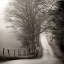 Picture of CADES COVE