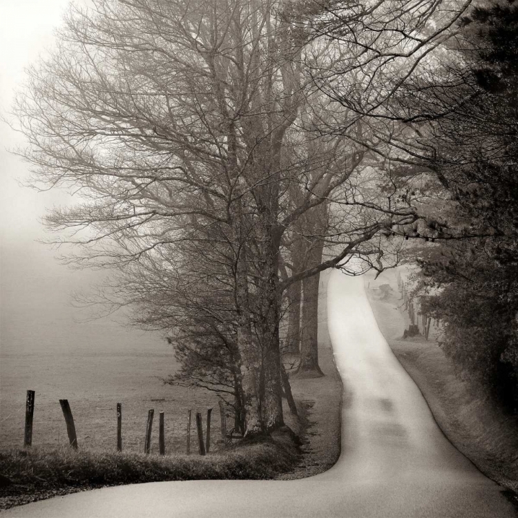 Picture of CADES COVE