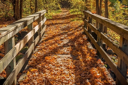 Picture of FALL ON THE FOOTBRIDGE