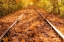 Picture of TRAIN TRACKS IN THE FALL