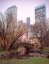 Picture of CENTRAL PARK, NYC