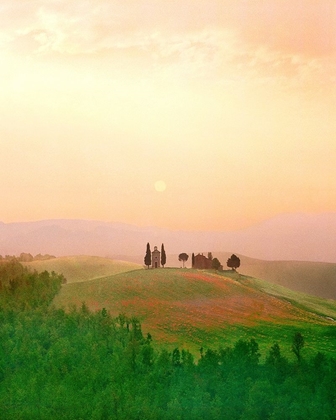 Picture of TOSCANA, ITALIA NO. 717