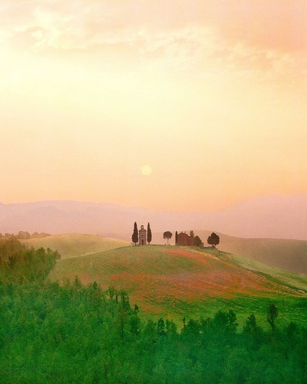 Picture of TOSCANA, ITALIA NO. 717