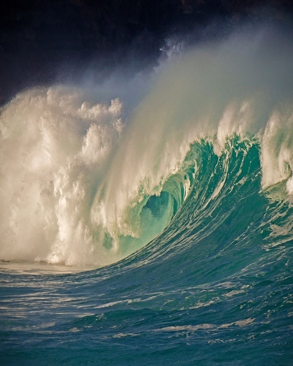 Picture of WAIMEA, OAHU