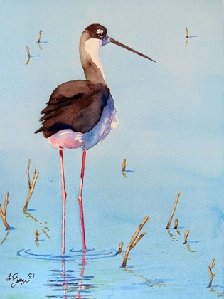 Picture of BLACK NECK STILT III