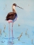 Picture of BLACK NECK STILT III