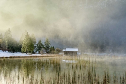 Picture of FIRST TOUCH OF SNOW