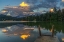 Picture of LATE SWIM