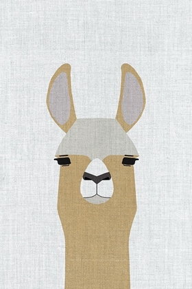 Picture of LLAMA