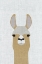 Picture of LLAMA