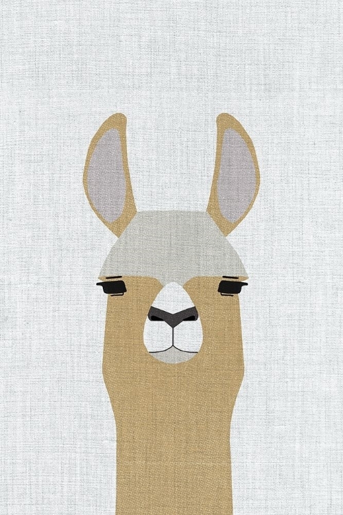 Picture of LLAMA