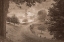 Picture of SLEEPY HOLLOW