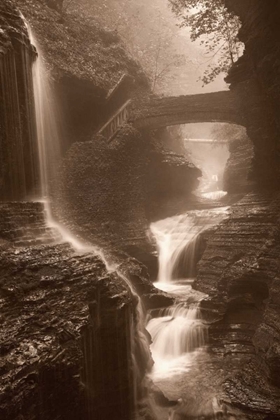 Picture of WATERFALL ON A RAINY DAY