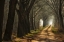 Picture of PATHS