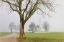 Picture of PILGRIMAGE CHURCH OF ST. COLOMAN