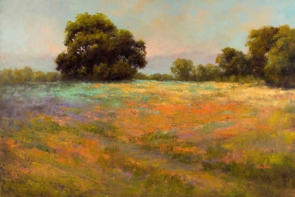 Picture of SPRING MEADOW
