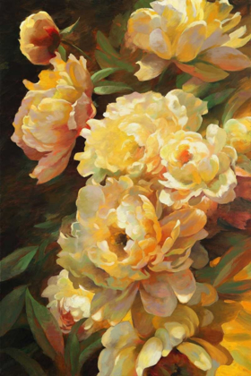Picture of PEONIES FOR SPRINGTIME