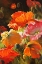 Picture of SPRINGTIME BLOSSOMS