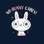 Picture of NO BUNNY CARES