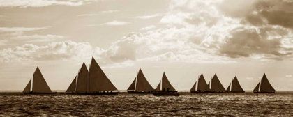 Picture of SAILBOATS