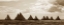 Picture of SAILBOATS
