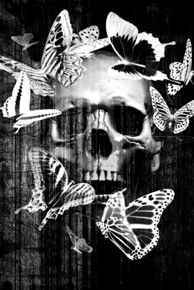 Picture of SKULL BUTTERFLY CROWN