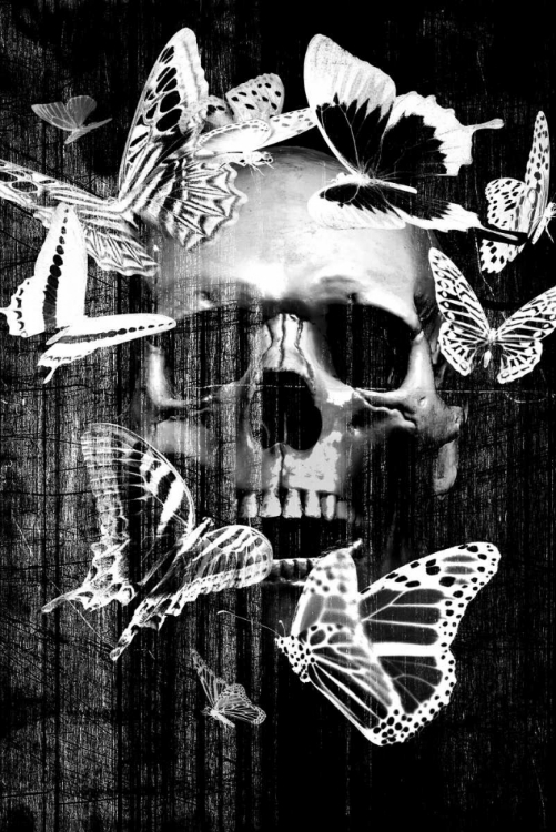 Picture of SKULL BUTTERFLY CROWN